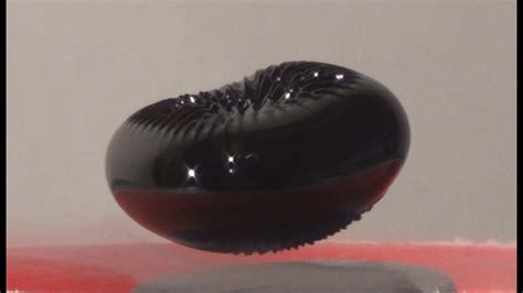 Unleashing the Magic of Ferrofluids: A Visual Spectacle